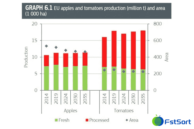 tomato production.png tomato production.png